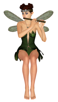 Querfl-te-fee-3027073_960_720.png