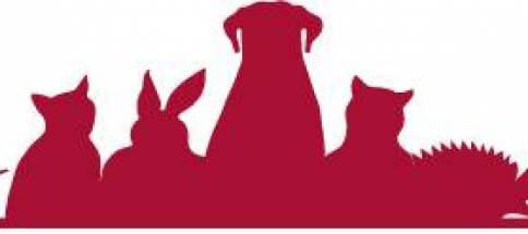 tutzing_logo_rz_rgb.jpg