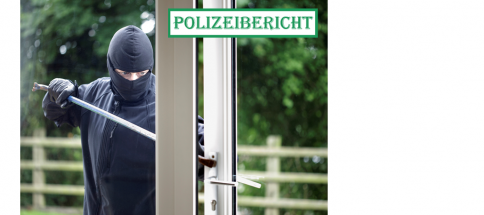 Polizeibericht-Dieb.png