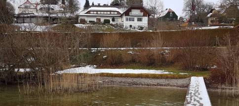 Seelmann4.jpg