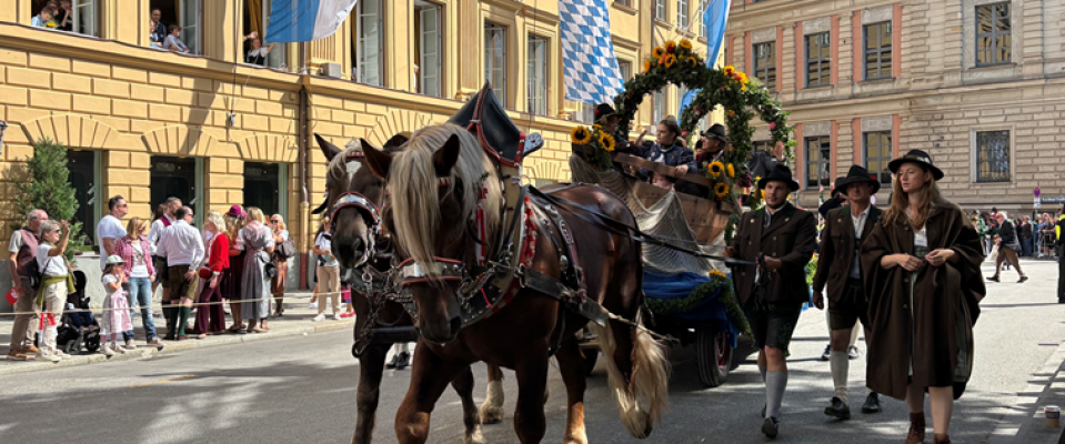 Wiesnzug-26-11.png