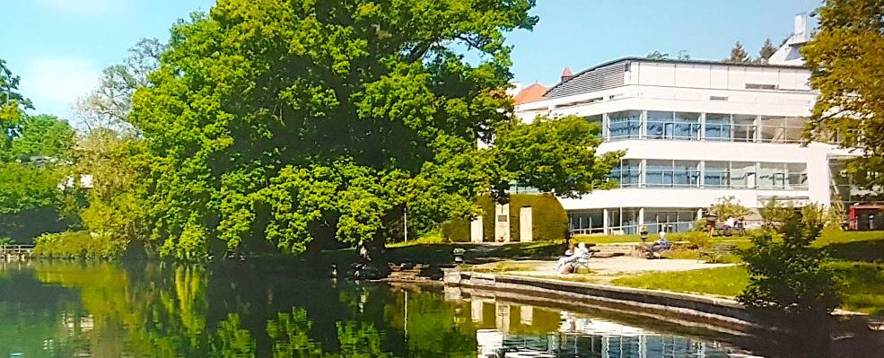 Gymnasium11a-Jahresbericht-2019.jpg