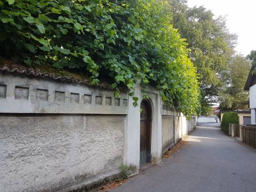 BP-Schloss-Violaburg.jpg