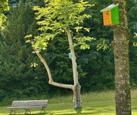 Nistkasten2-F-Barbara-Hopf.jpg