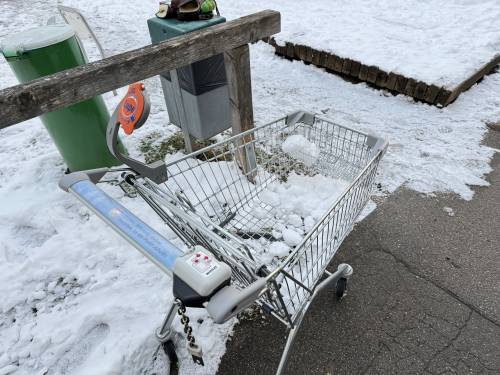 Einkaufswagen-1.jpg