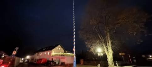 Maibaum-12225.jpg