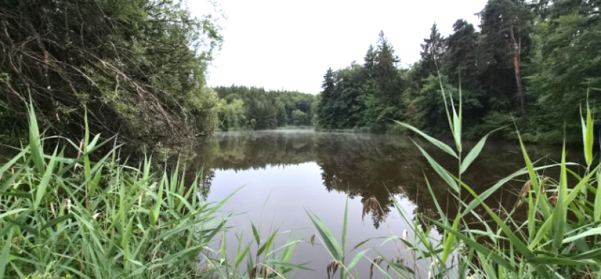 Deixlfurter-Weiher-1a.png