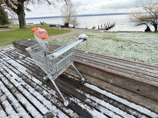 Einkaufswagen-2.jpg