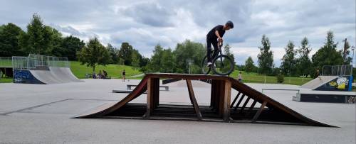 Skater-WM-5.jpg