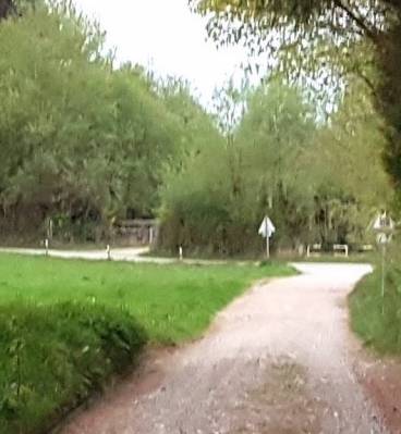 Weg-Kampberg2.jpg
