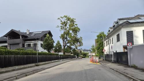 Oskar-Sch-ler17.jpg