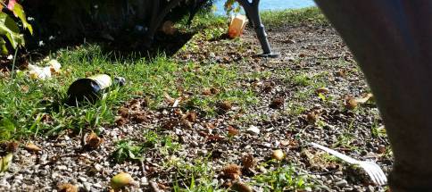 20181004_135434.jpg