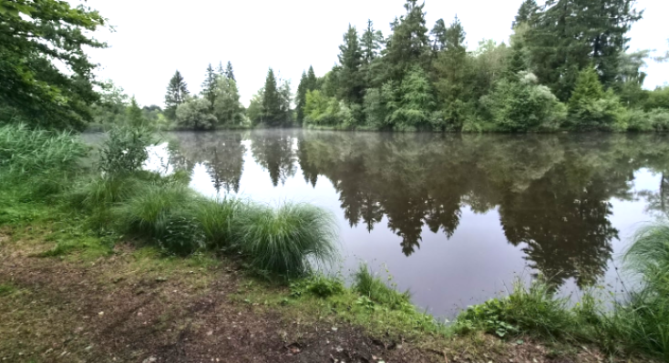 Deixlfurter-Weiher-2a.png