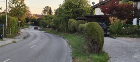 Unterzerismering70.jpg