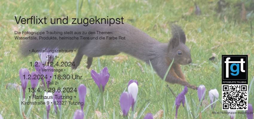 Ausstellung-im-Rathaus--Flyer--20240201.jpg