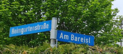 Bareisl7.jpg