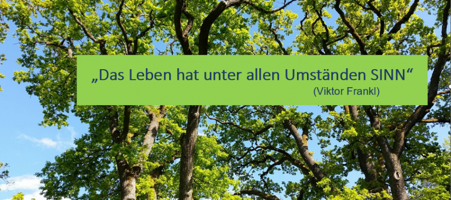 LinkedIn-Frankl-Sinn.png