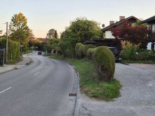 Unterzerismering70.jpg