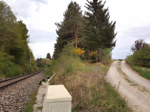 Weg-Kampberg.jpg