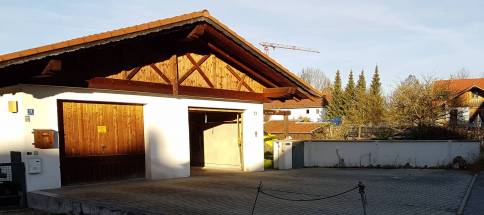 Traubing1.jpg