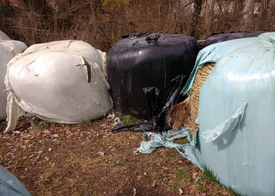 IMG_20210313_103906338.jpg