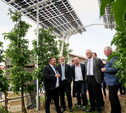 Agri-PV-Baden-W-rttembergs-Ministerpr-sident-Winfried-Kretschmann--2.v.r.--weihte-die-Pilotanlage--ber-der-Obstbauanlage-in-Kressbronn-ein..png