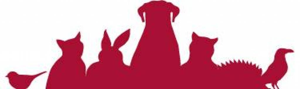 tutzing_logo_rz_rgb.jpg