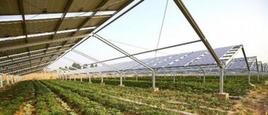 Agri-PV-Bundesministerium-f-r-Ern-hrung-und-Landwirtschaft-Fraunhofer-ISE.png