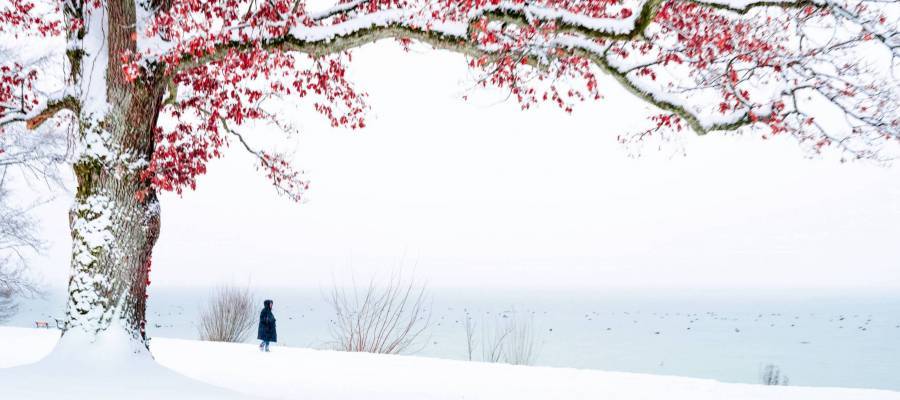 Winter10-Ulrike-Eisenmann.jpg