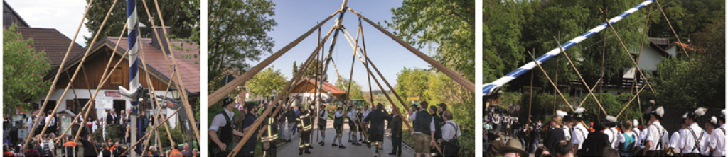 Maibaum-3.png