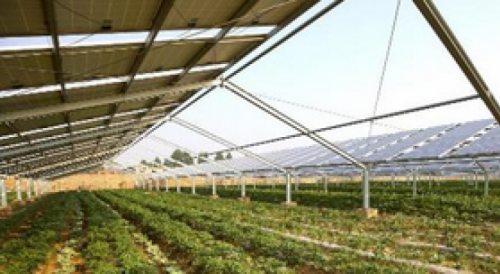 Agri-PV.png