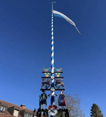 Maibaum2.jpg