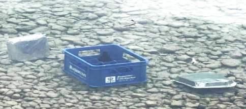 Verschmutzung2.png