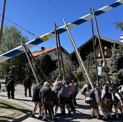 Maibaum8.jpg